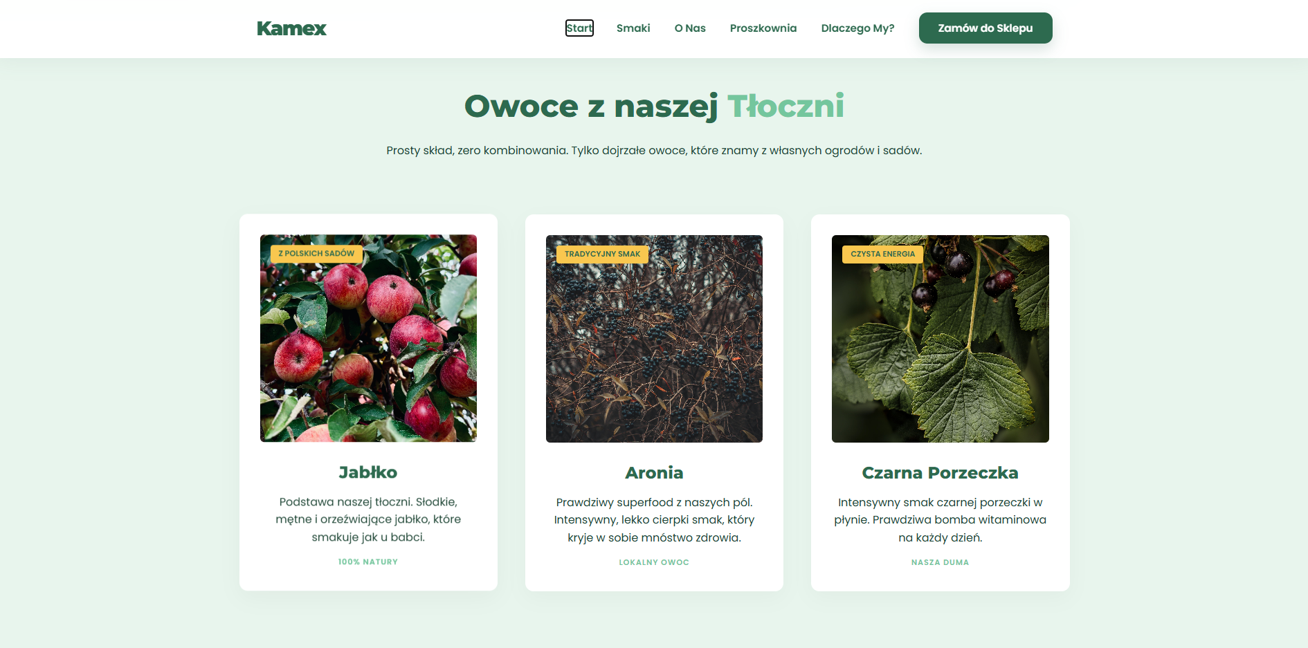 Kompletny Branding i B2B E-commerce dla Producenta Soków NFC [Kamex]